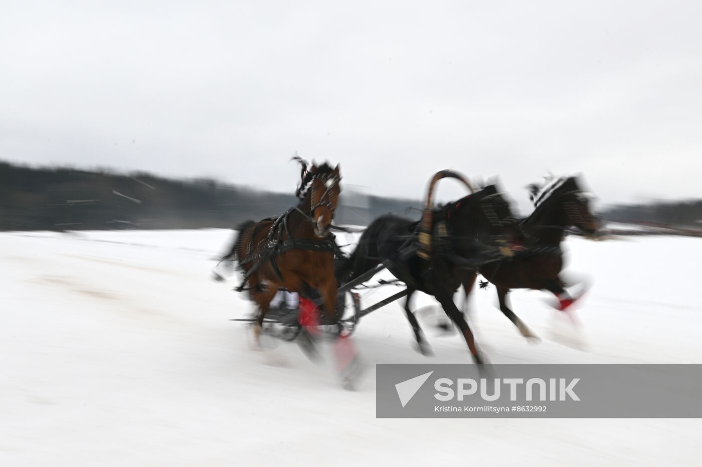 Russia Horse Drawn Sleighing Festival