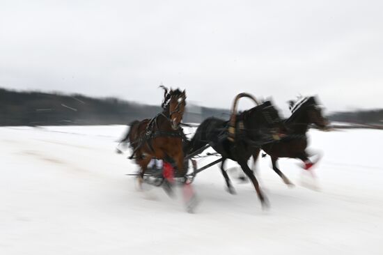 Russia Horse Drawn Sleighing Festival