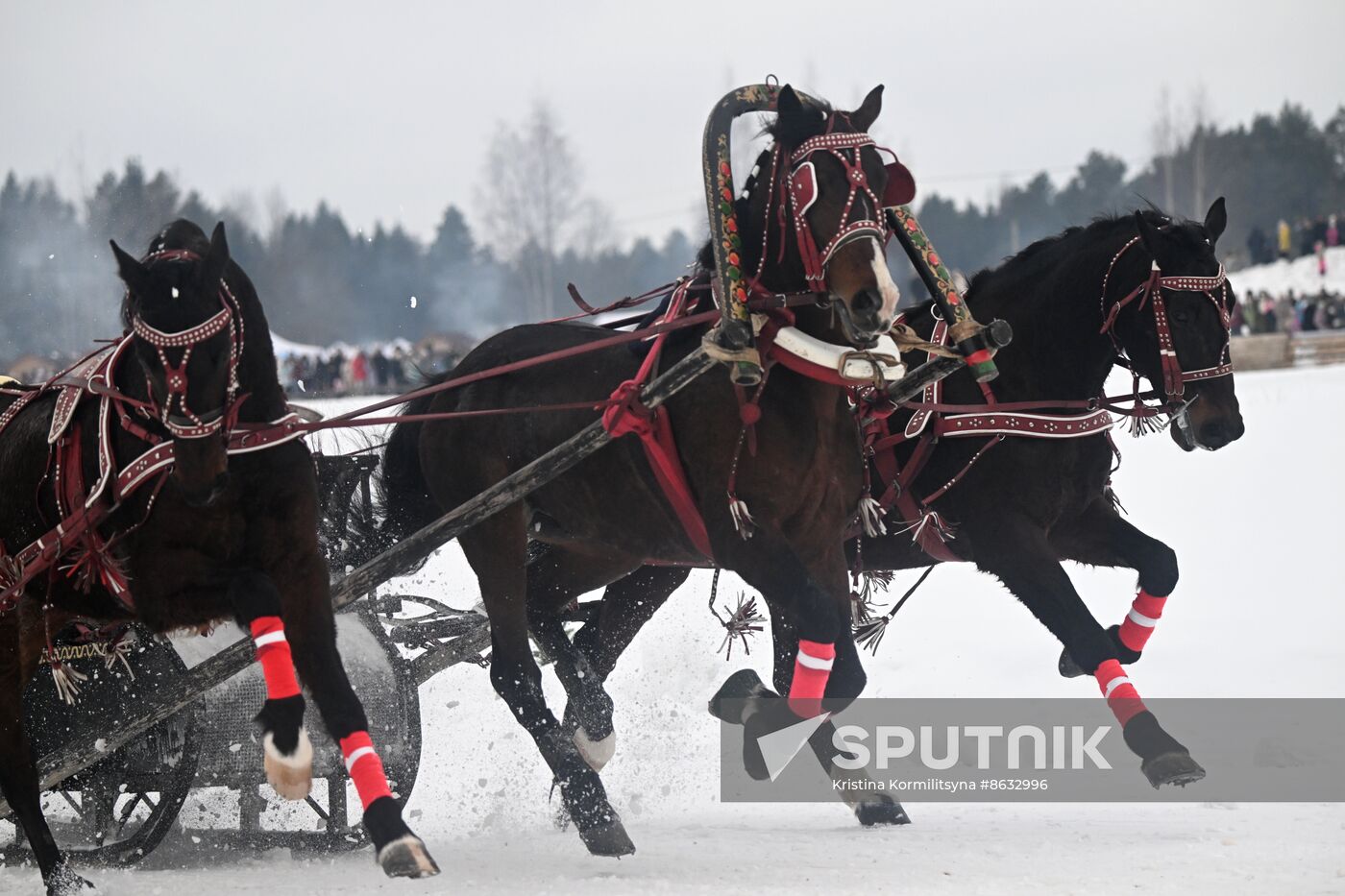 Russia Horse Drawn Sleighing Festival