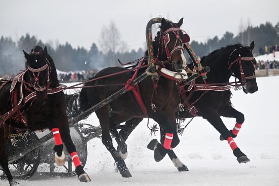Russia Horse Drawn Sleighing Festival