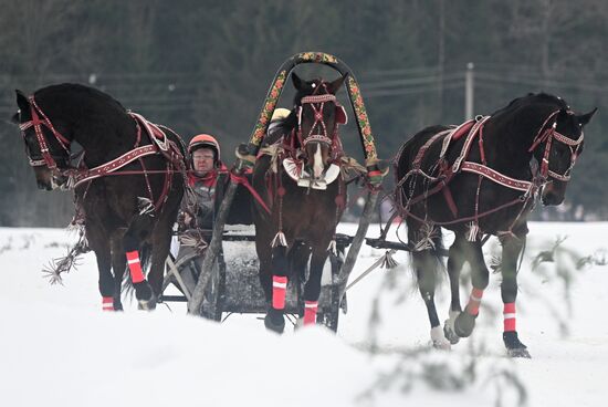 Russia Horse Drawn Sleighing Festival