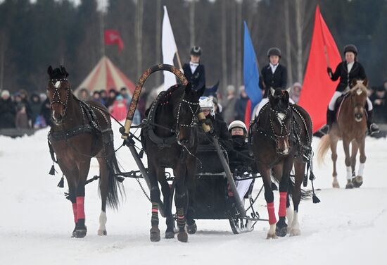 Russia Horse Drawn Sleighing Festival