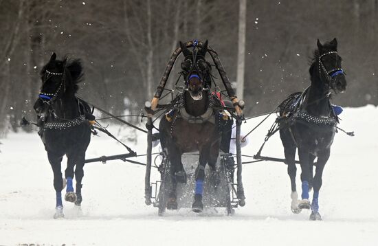 Russia Horse Drawn Sleighing Festival
