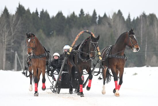 Russia Horse Drawn Sleighing Festival