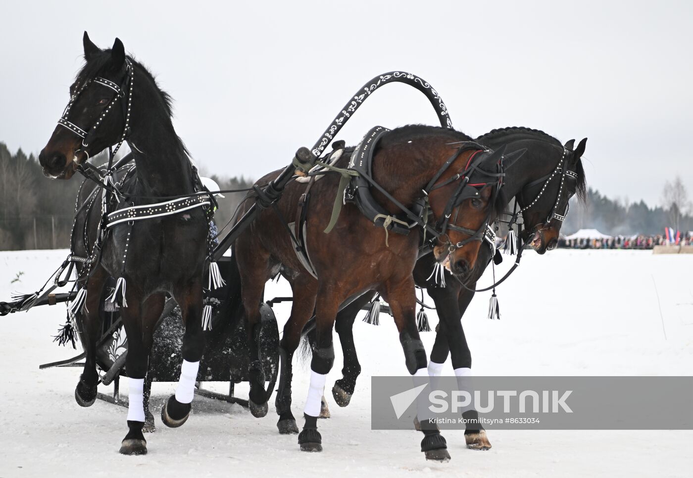 Russia Horse Drawn Sleighing Festival