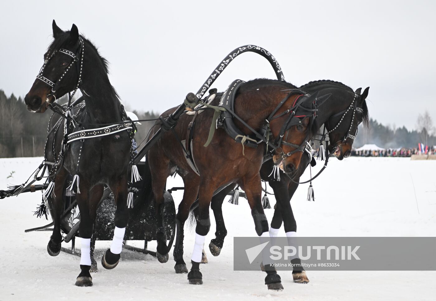Russia Horse Drawn Sleighing Festival