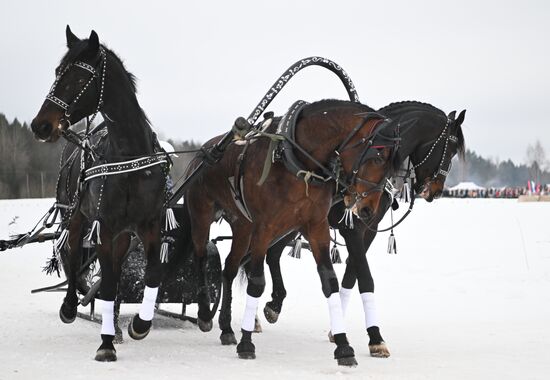 Russia Horse Drawn Sleighing Festival