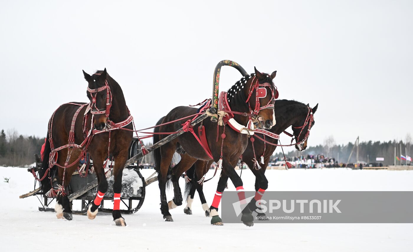 Russia Horse Drawn Sleighing Festival