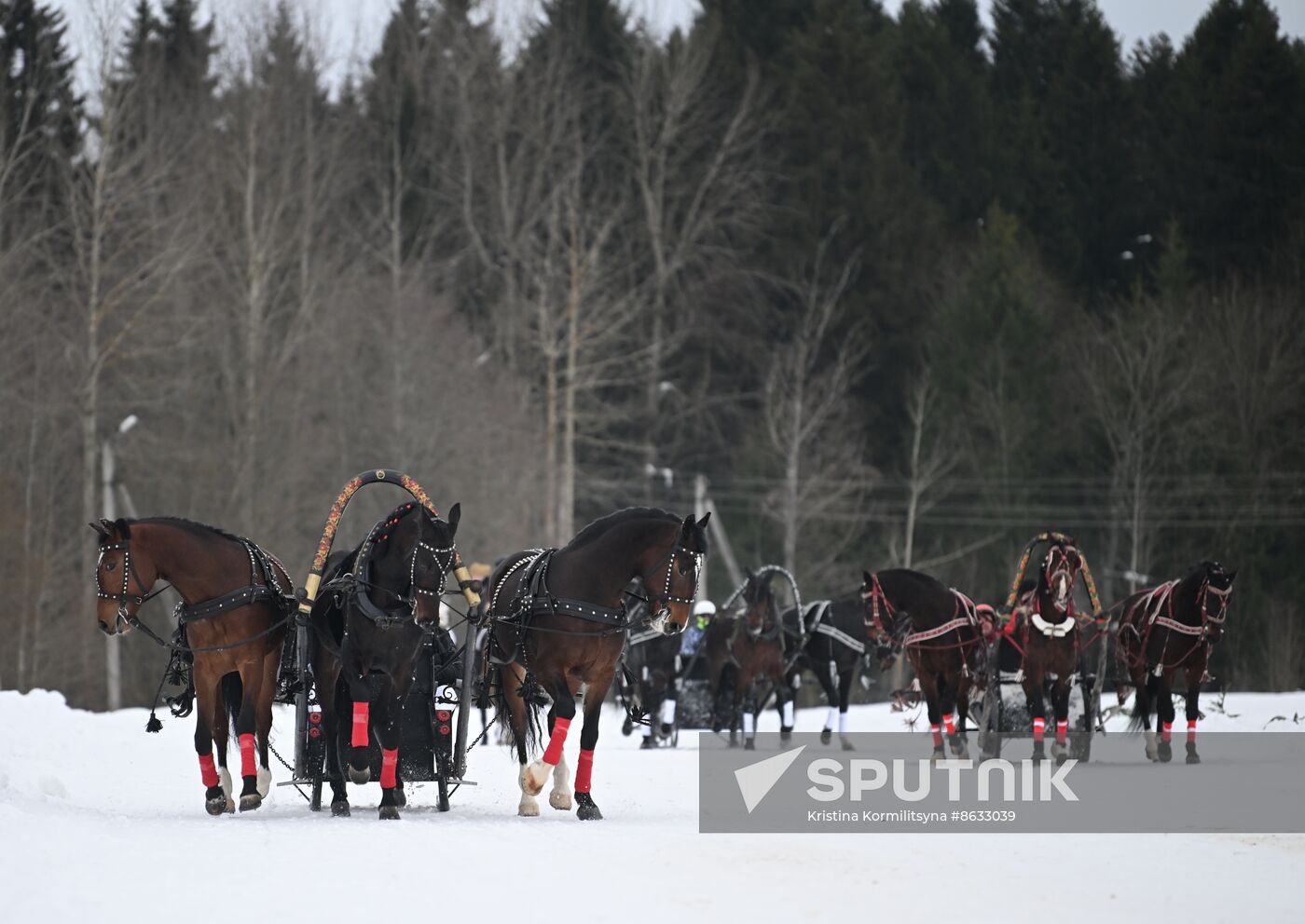 Russia Horse Drawn Sleighing Festival