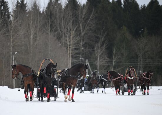 Russia Horse Drawn Sleighing Festival
