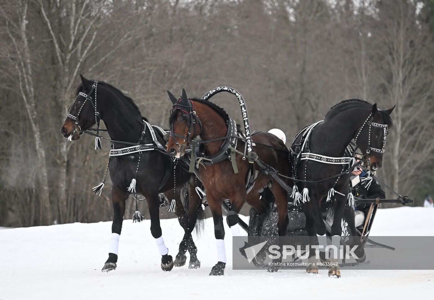 Russia Horse Drawn Sleighing Festival