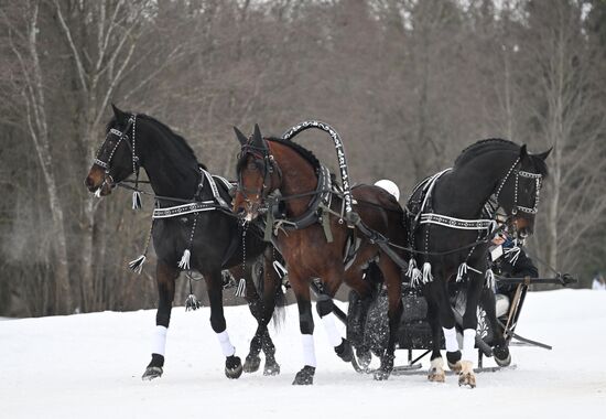 Russia Horse Drawn Sleighing Festival