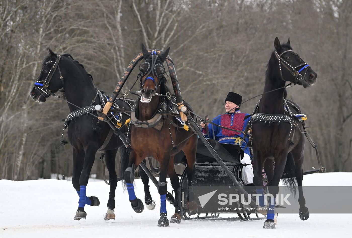 Russia Horse Drawn Sleighing Festival
