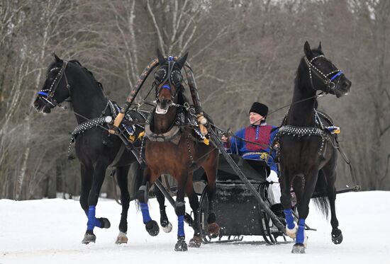 Russia Horse Drawn Sleighing Festival