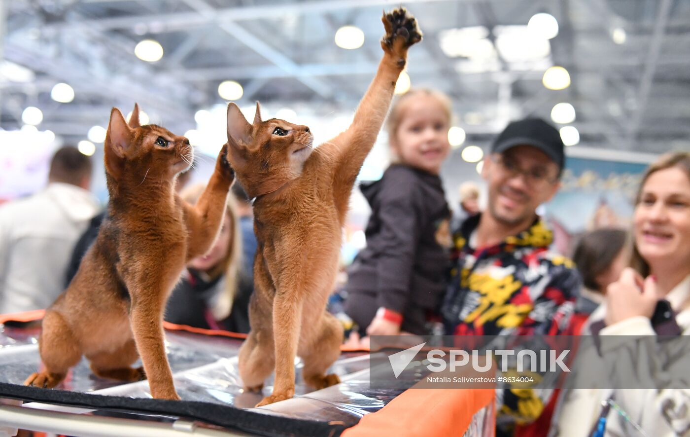 Russia Cat Show