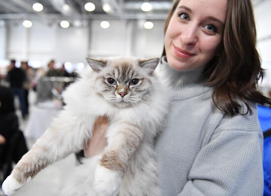 Russia Cat Show