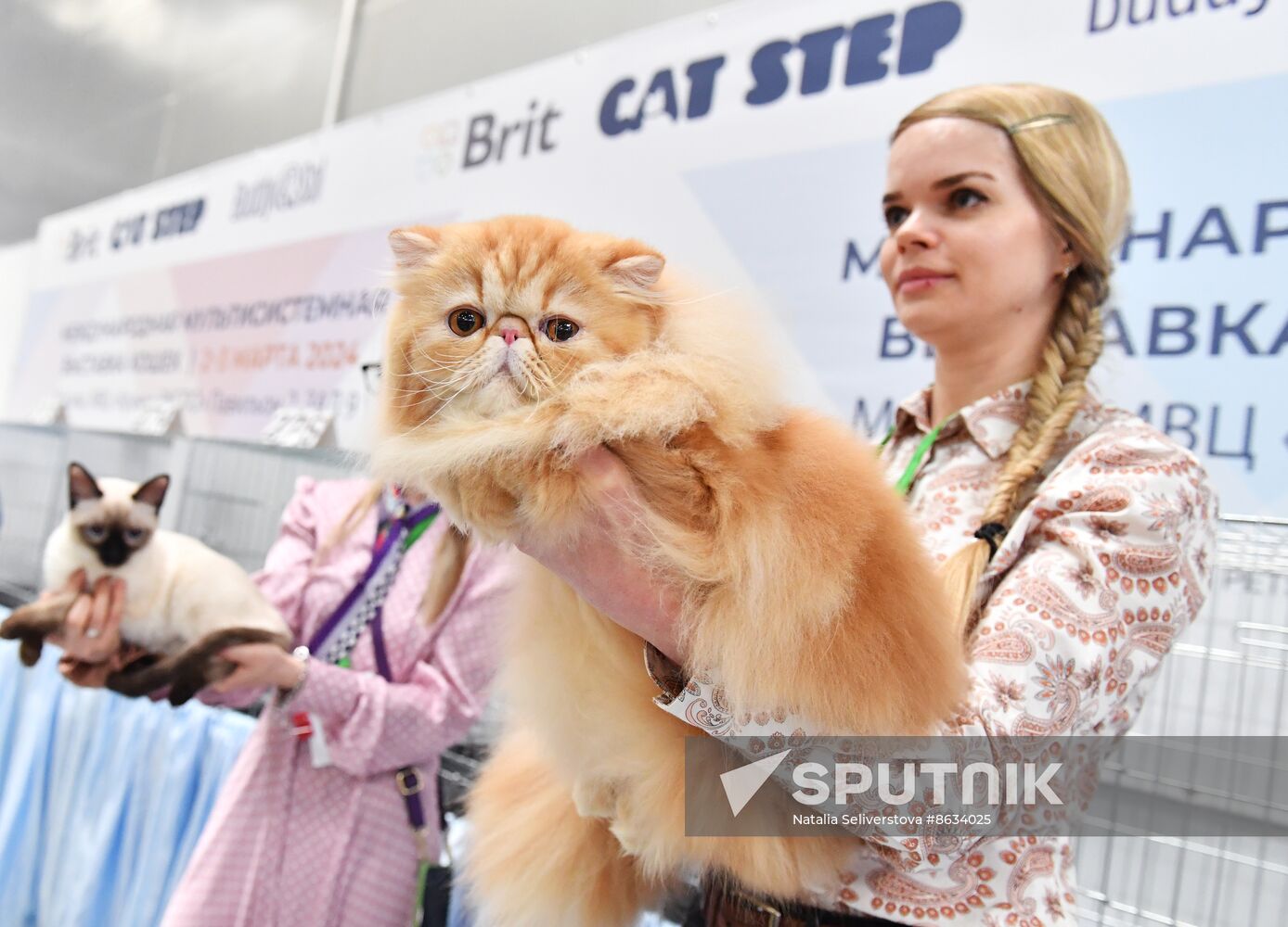 Russia Cat Show