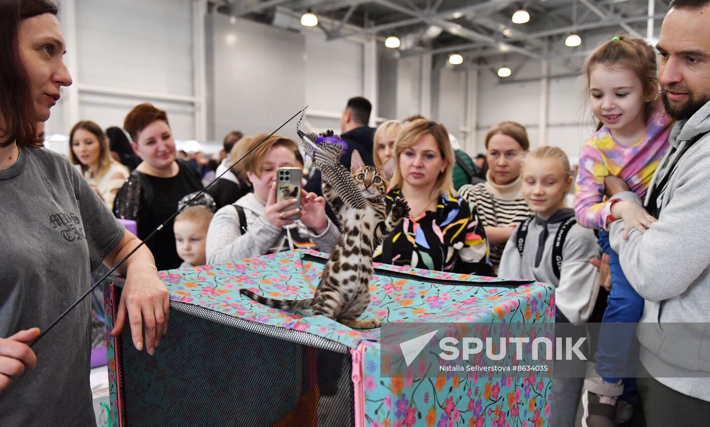 Russia Cat Show