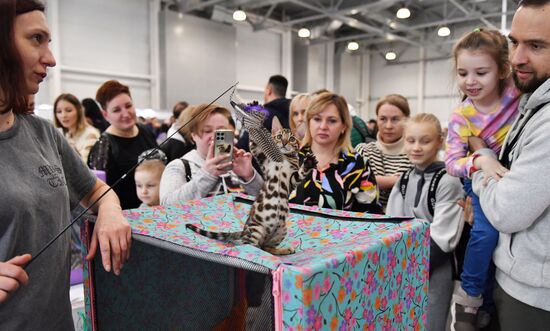 Russia Cat Show