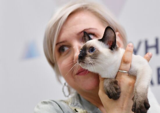 Russia Cat Show