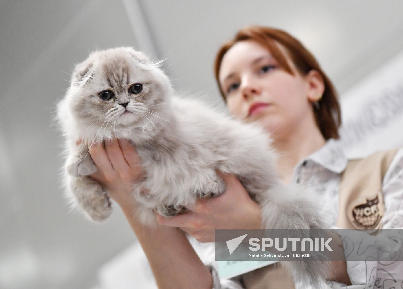 Russia Cat Show