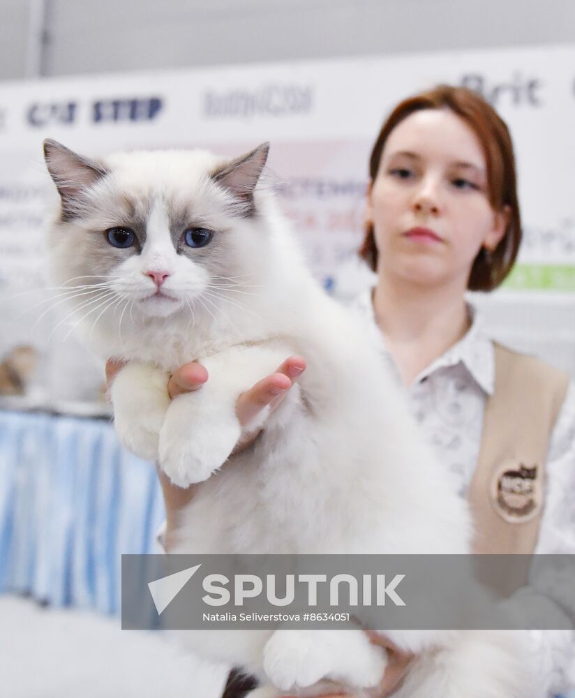 Russia Cat Show