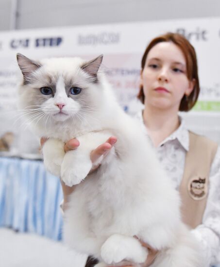 Russia Cat Show