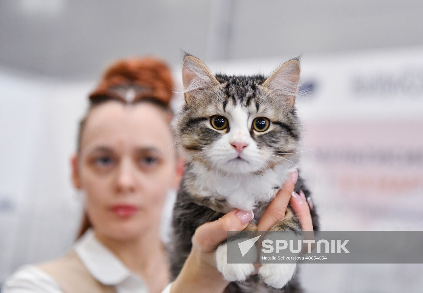 Russia Cat Show