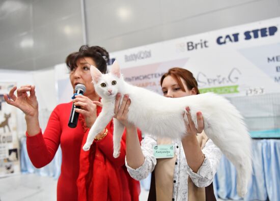 Russia Cat Show