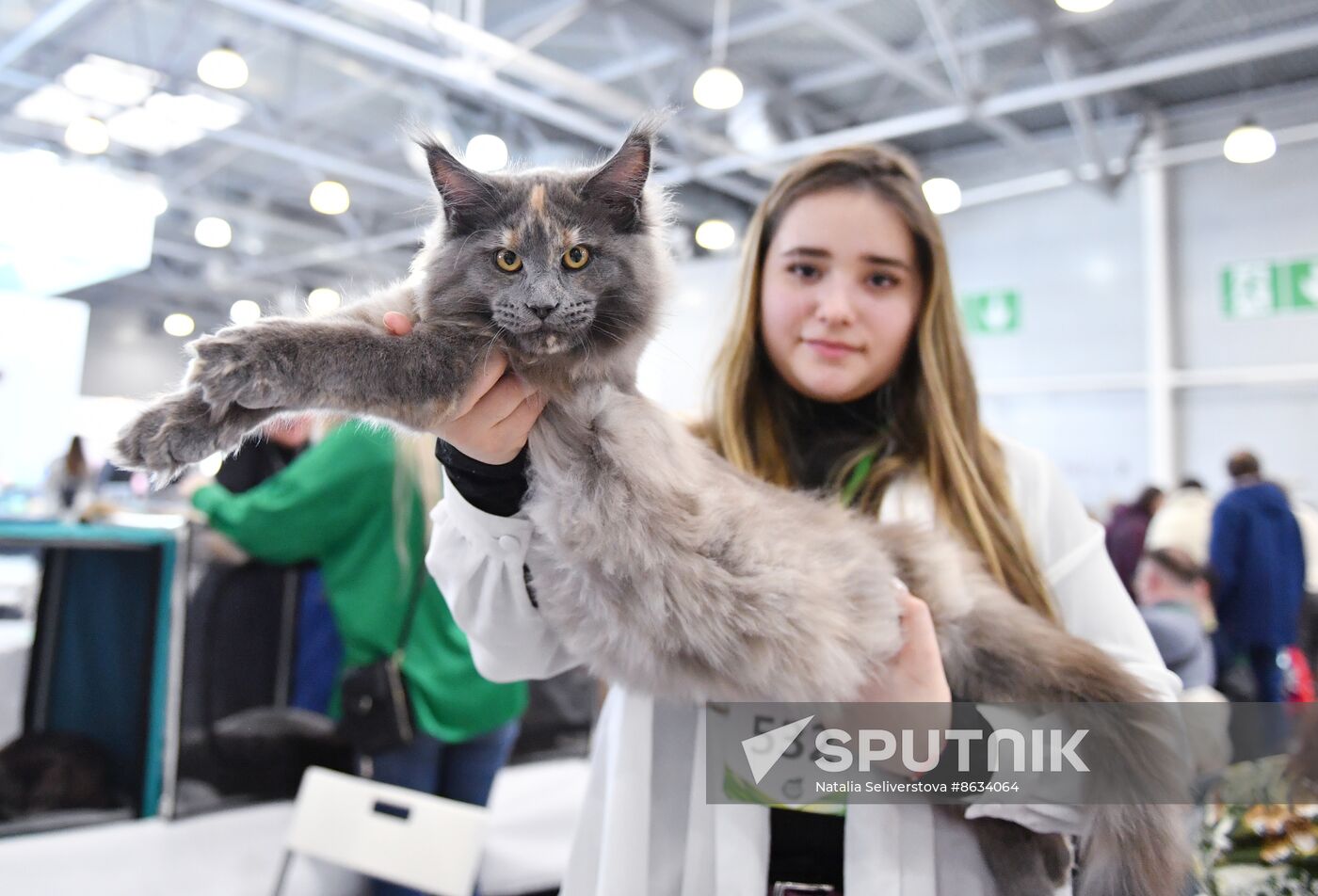 Russia Cat Show