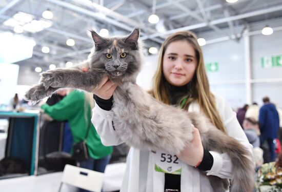 Russia Cat Show