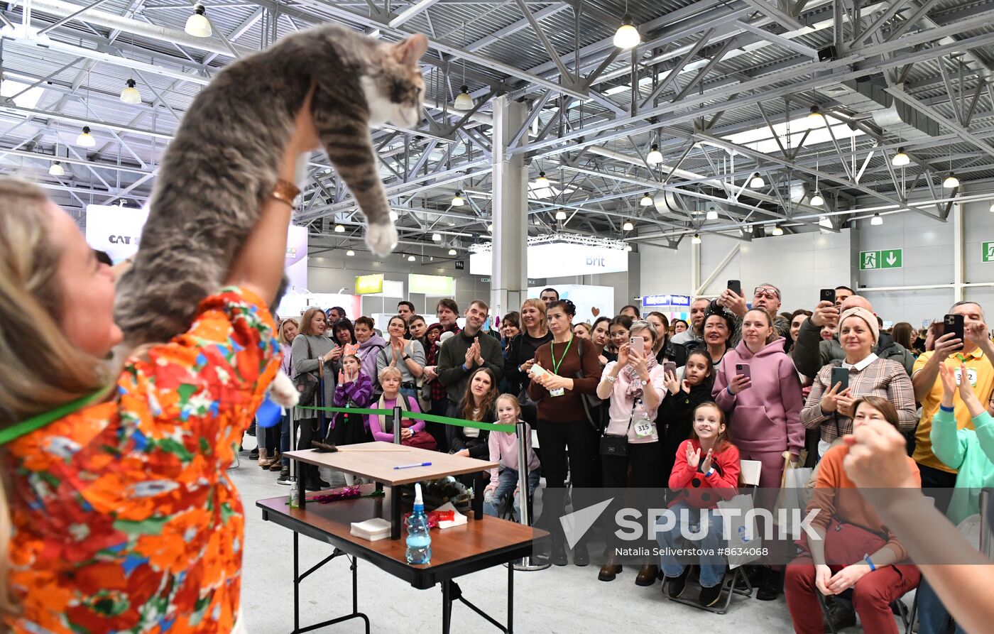 Russia Cat Show