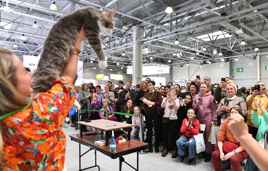 Russia Cat Show