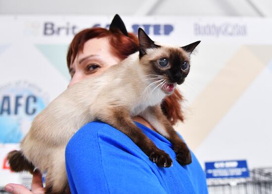 Russia Cat Show