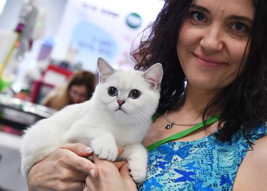 Russia Cat Show