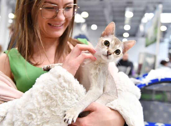 Russia Cat Show