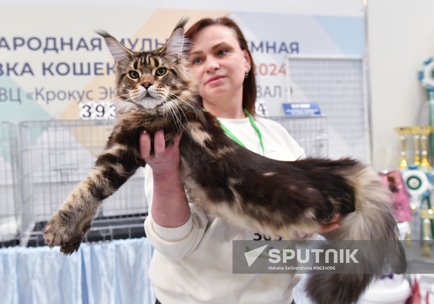 Russia Cat Show