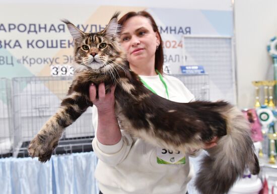 Russia Cat Show