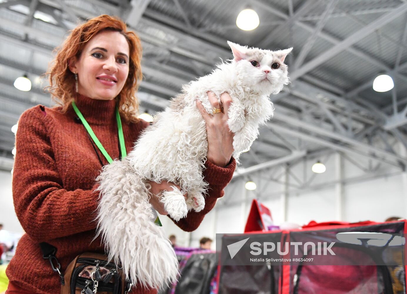 Russia Cat Show