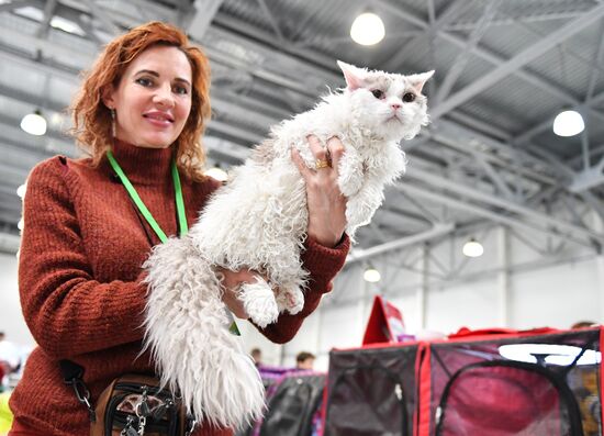 Russia Cat Show