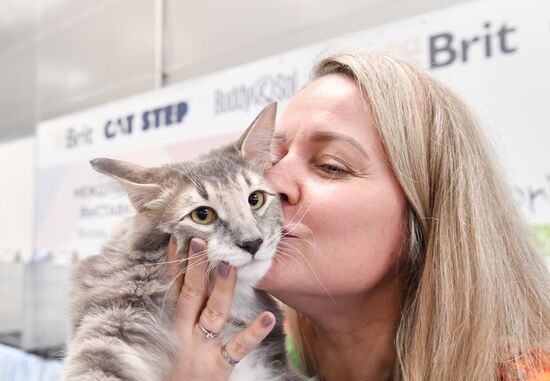 Russia Cat Show