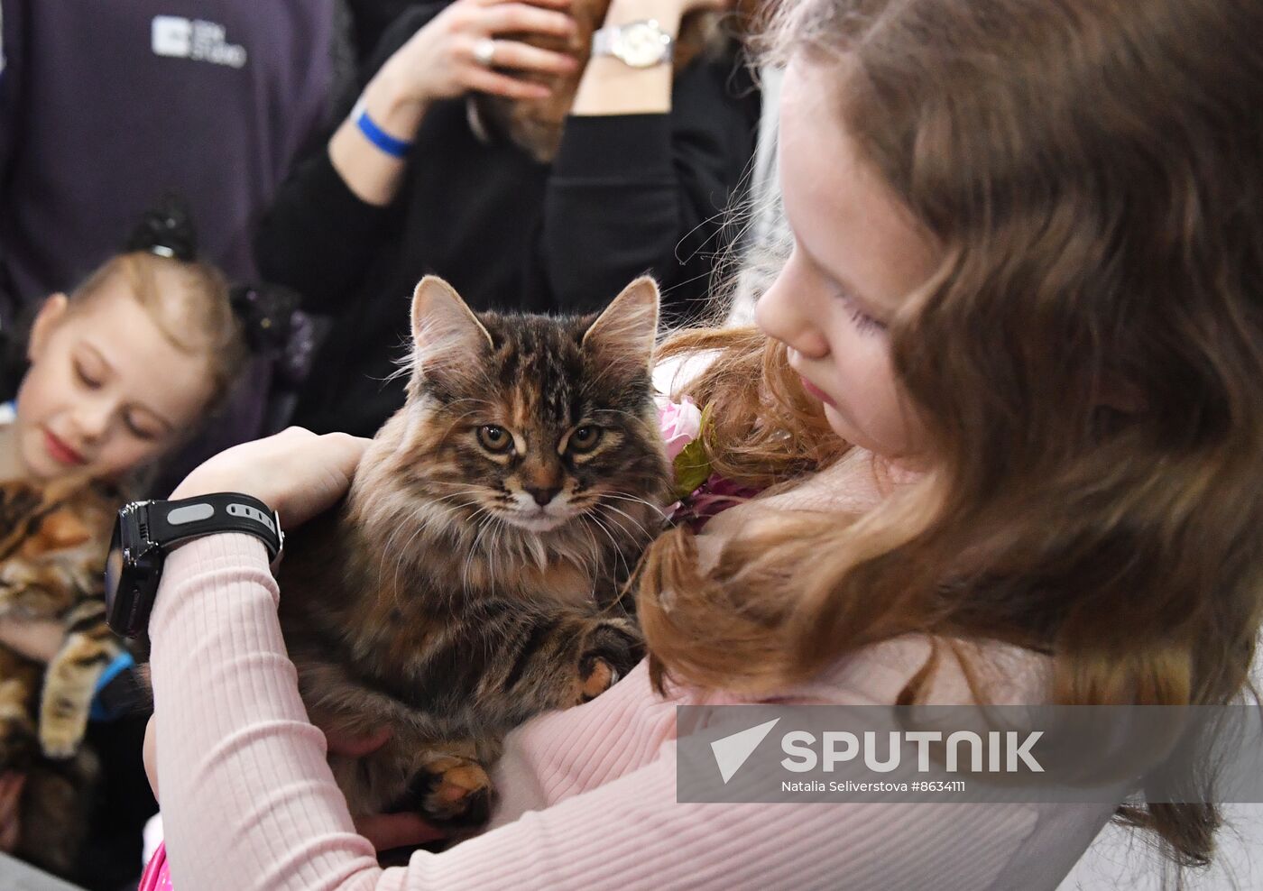 Russia Cat Show