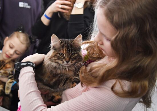 Russia Cat Show