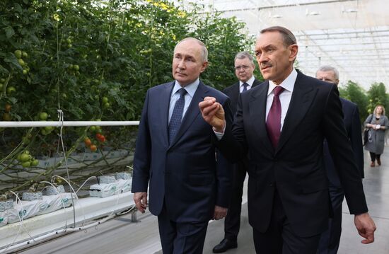 Russia Putin North Caucasian Federal District