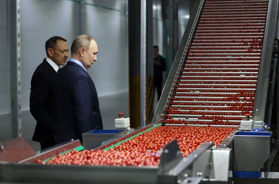 Russia Putin North Caucasian Federal District