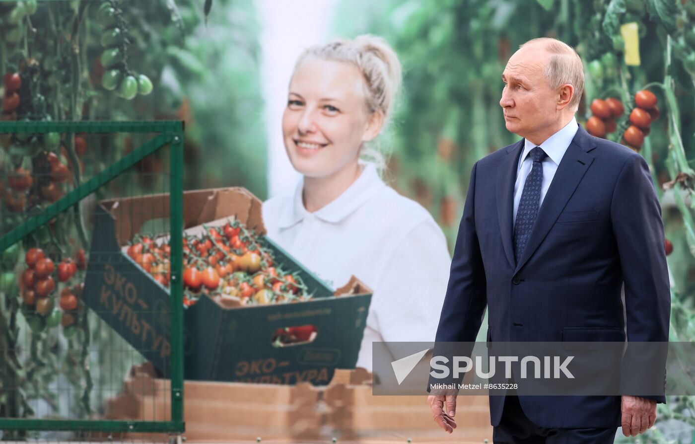 Russia Putin North Caucasian Federal District