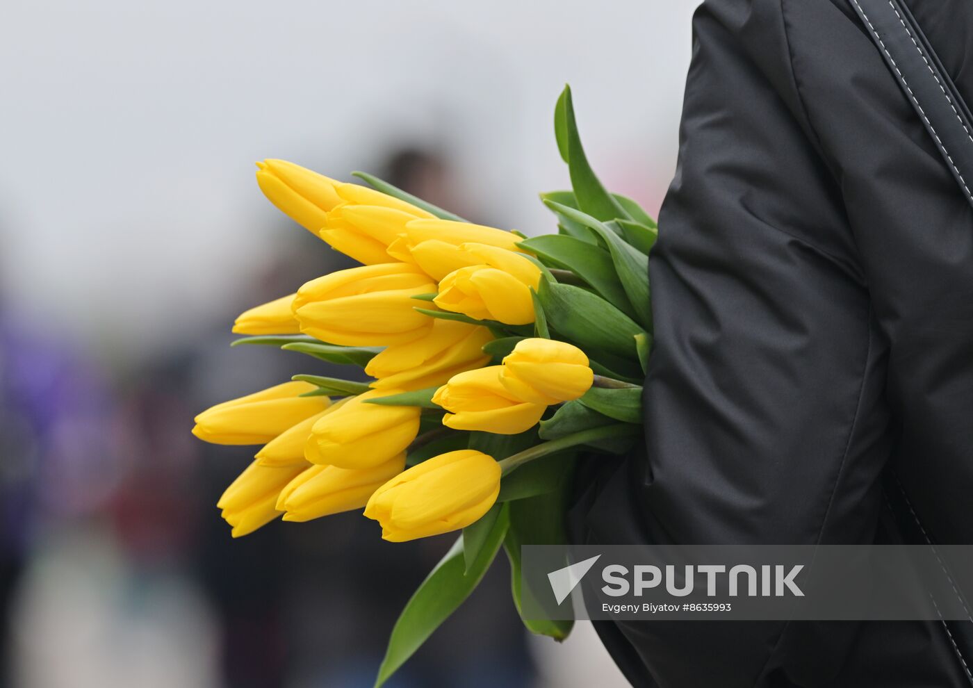 Russia World Youth Festival