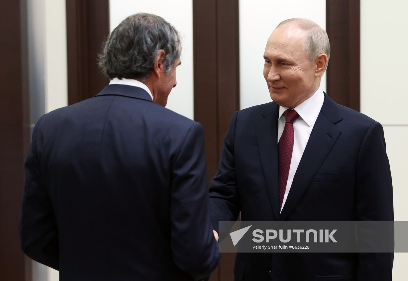 Russia Putin IAEA