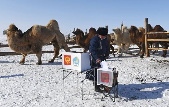 Russia Presidential Election Early Voting