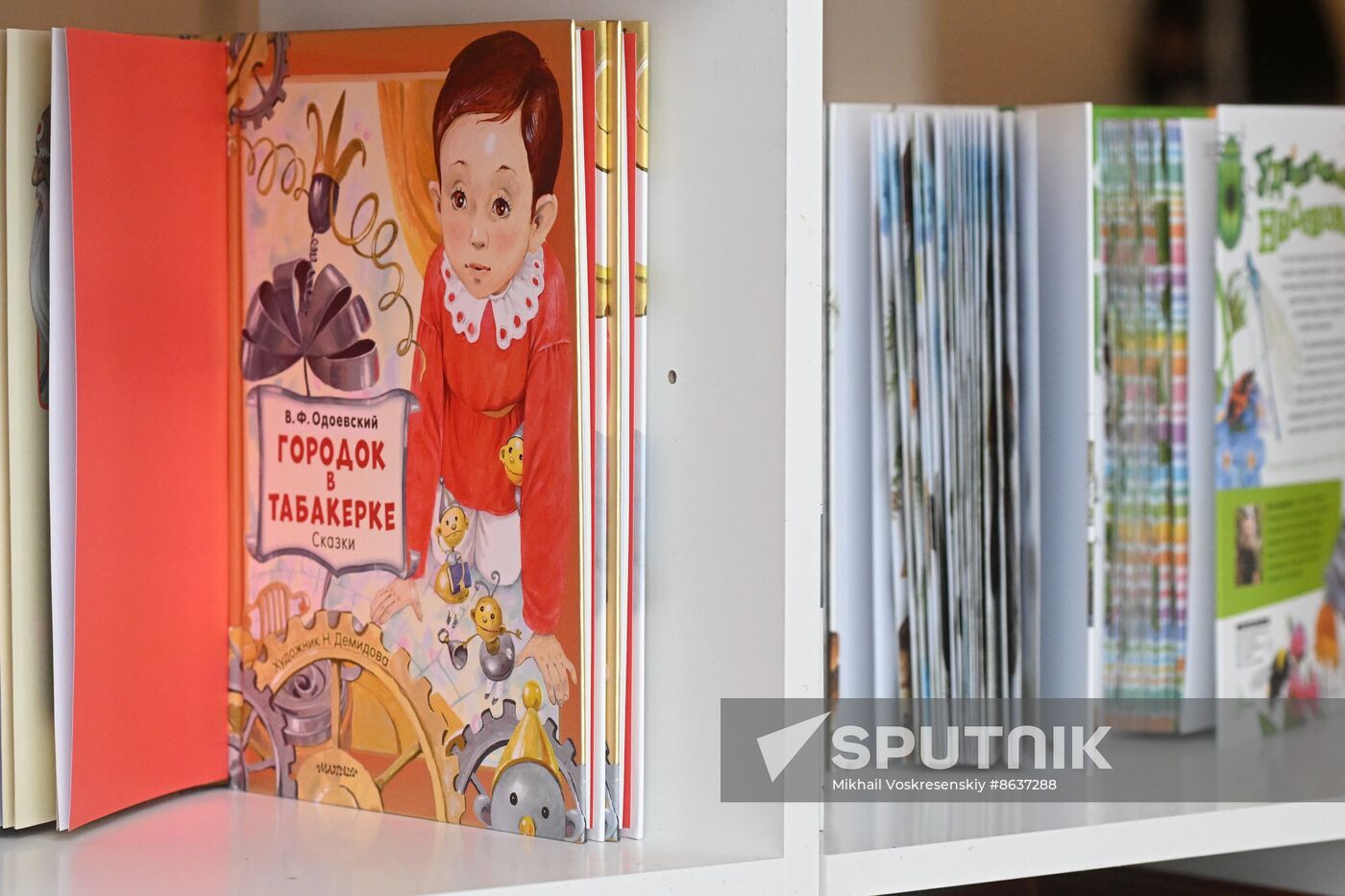RUSSIA EXPO. Most Reading Country Festival